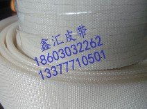 供應帆布輸送帶 東莞市鑫匯流水線機械配件廠 輸送帶 工業皮帶 擋板加工皮帶 馬達 變頻器